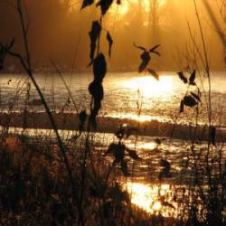 Anthems Of Gomorrah : Nostalgia II